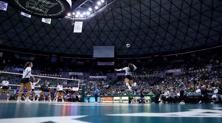 rainbow wahine