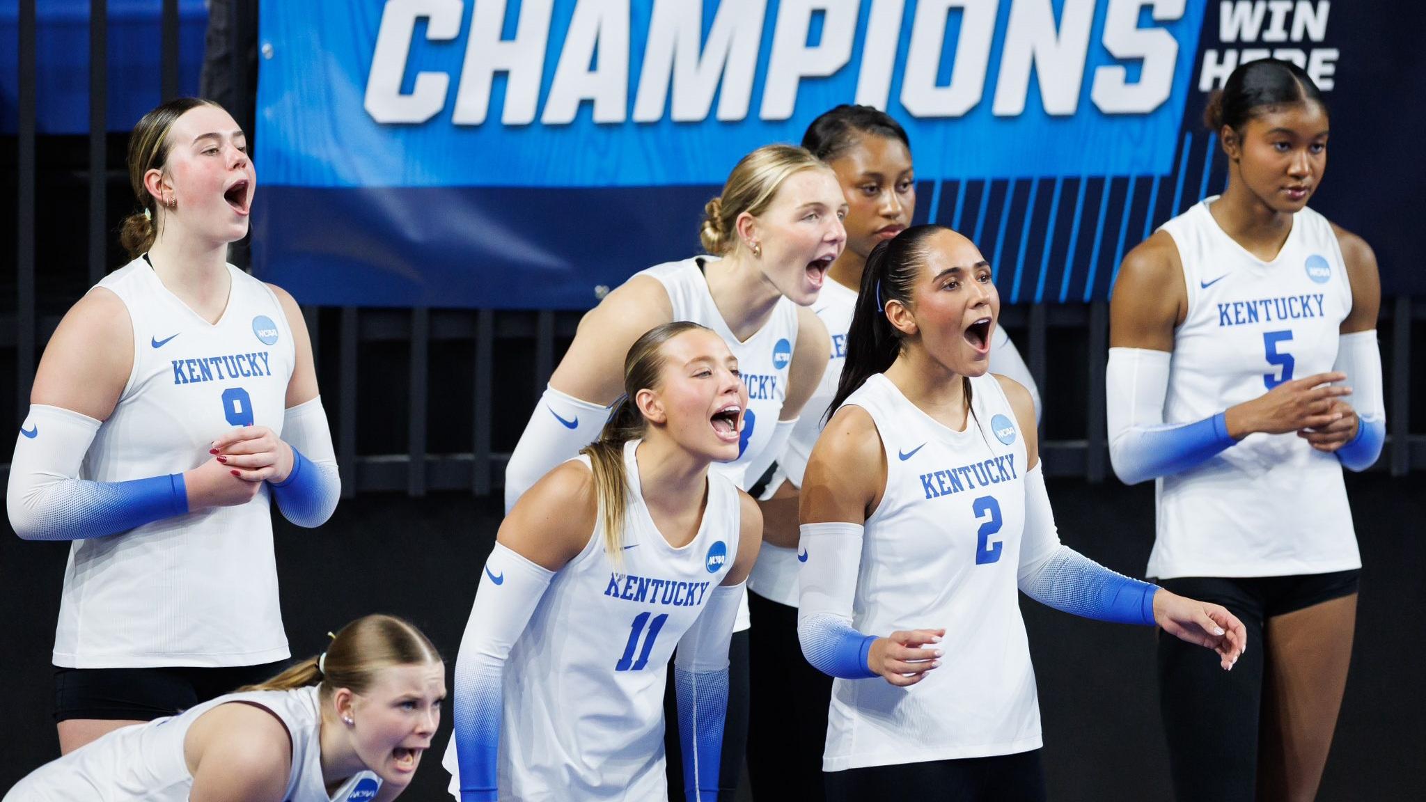 Kentucky Volleyball